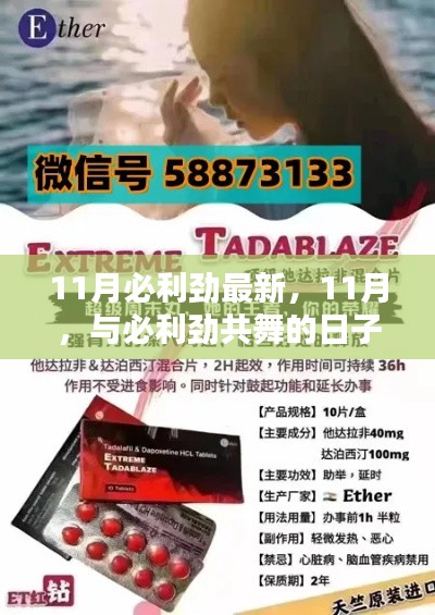 11月与必利劲共舞，最新动态与活动回顾