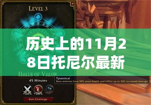 历史上的托尼尔加点深度解析与个人观点，最新加点趋势探讨