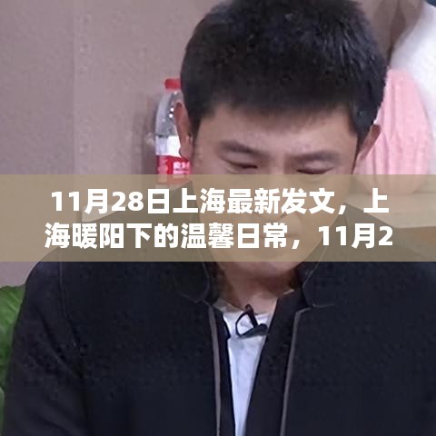 上海暖阳下的奇遇与友情，温馨日常的奇遇日纪事