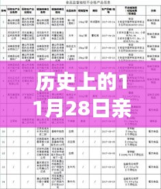 历史上的11月28日青年大学热门答案深度解析与介绍