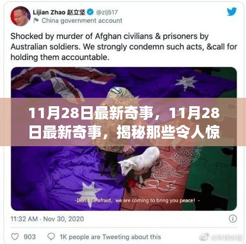 朴实无华 第5页