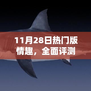 11月28日热门版情趣，全面评测，11月28日热门版情趣产品深度解析