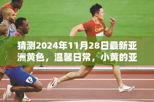 小黄在亚洲的温馨日常与奇遇，友情纽带
