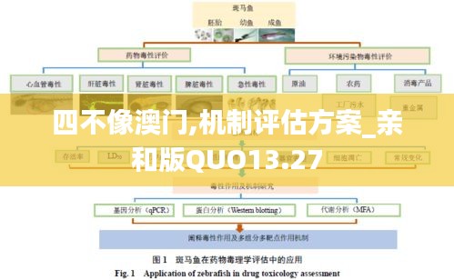 四不像澳门,机制评估方案_亲和版QUO13.27