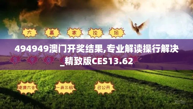 494949澳门开奖结果,专业解读操行解决_精致版CES13.62