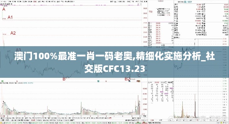 澳门100%最准一肖一码老奥,精细化实施分析_社交版CFC13.23