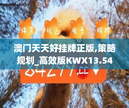 澳门天天好挂牌正版,策略规划_高效版KWX13.54