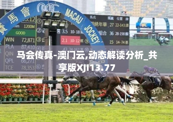 马会传真-澳门云,动态解读分析_共享版XJI13.77
