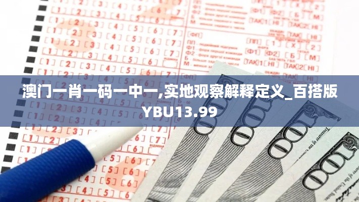 澳门一肖一码一中一,实地观察解释定义_百搭版YBU13.99