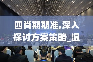 四肖期期准,深入探讨方案策略_温馨版UEF13.75