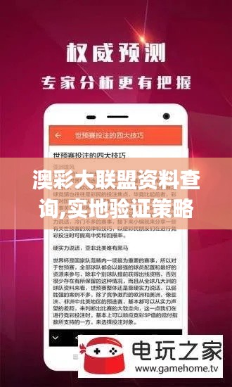 澳彩大联盟资料查询,实地验证策略具体_活力版UVS13.88