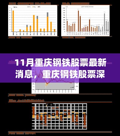 揭秘重庆钢铁股票最新动态与深度测评报告，十一月展望及前景预测