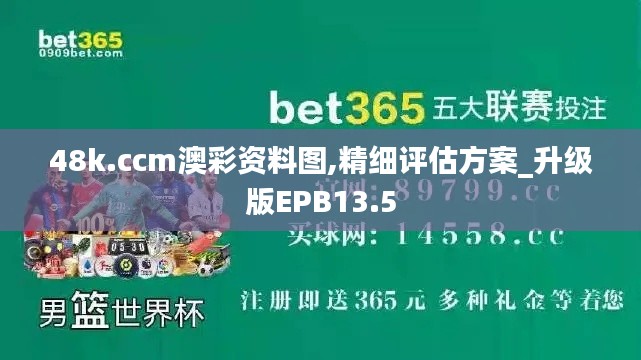 48k.ccm澳彩资料图,精细评估方案_升级版EPB13.5