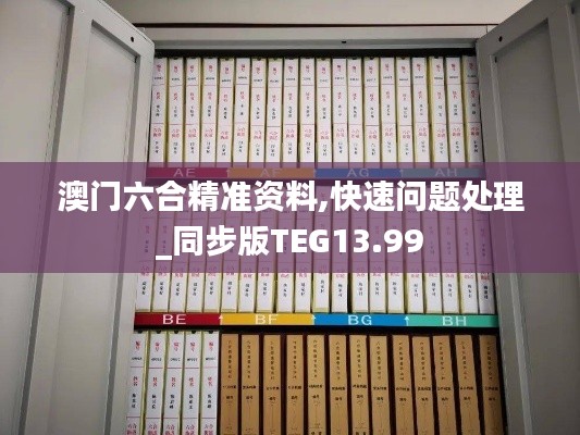 澳门六合精准资料,快速问题处理_同步版TEG13.99