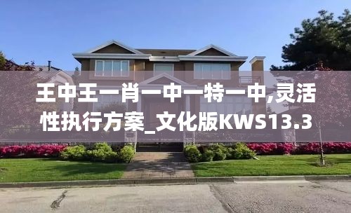 王中王一肖一中一特一中,灵活性执行方案_文化版KWS13.31