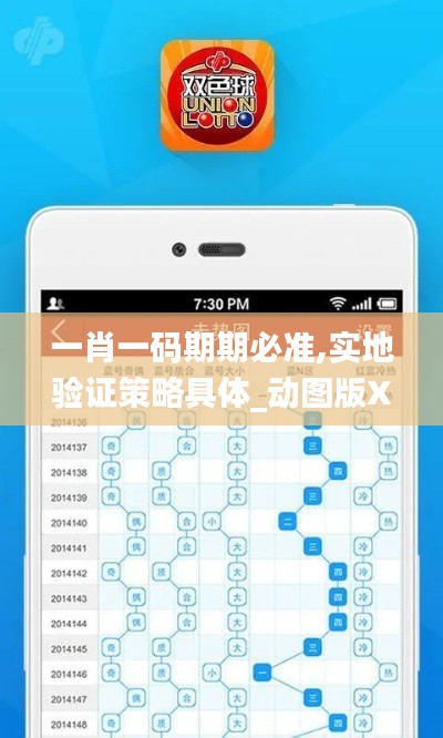 一肖一码期期必准,实地验证策略具体_动图版XJO13.45