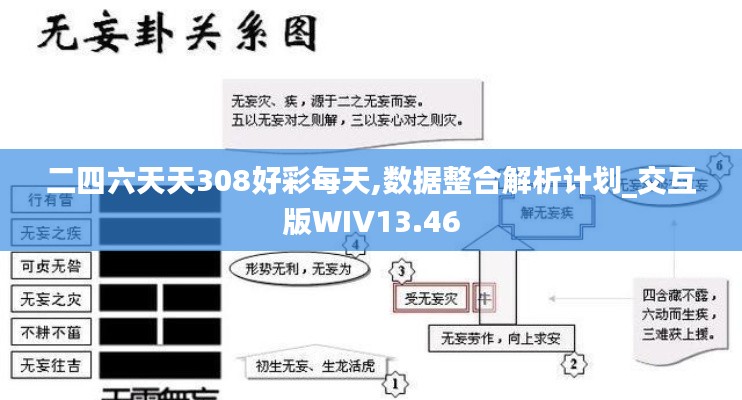 二四六天天308好彩每天,数据整合解析计划_交互版WIV13.46