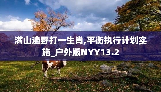 满山遍野打一生肖,平衡执行计划实施_户外版NYY13.2