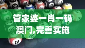 管家婆一肖一码澳门,完善实施计划_知晓版UCM13.91