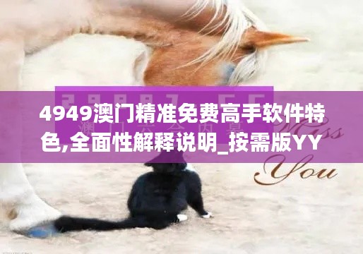 4949澳门精准免费高手软件特色,全面性解释说明_按需版YYX13.48