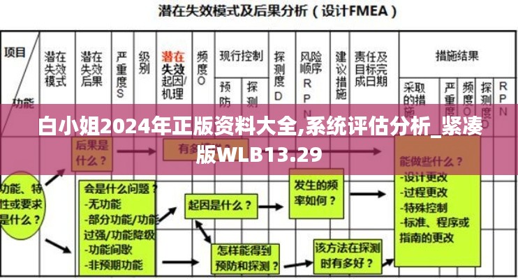 白小姐2024年正版资料大全,系统评估分析_紧凑版WLB13.29