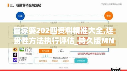 管家婆202四资料精准大全,连贯性方法执行评估_持久版MNU13.56
