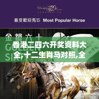香港二四六开奖资料大全,十二生肖马对照,全面设计实施_工具版JHB13.80