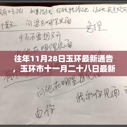 玉环市11月28日最新通告及操作指南，适合初学者与进阶用户参考
