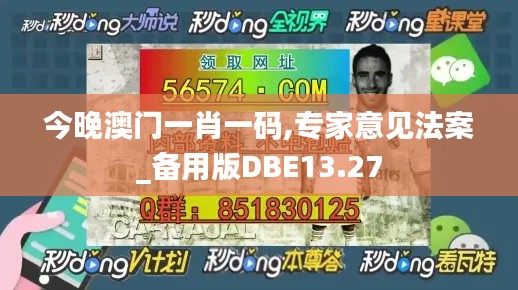 今晚澳门一肖一码,专家意见法案_备用版DBE13.27