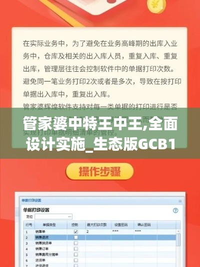 管家婆中特王中王,全面设计实施_生态版GCB13.11