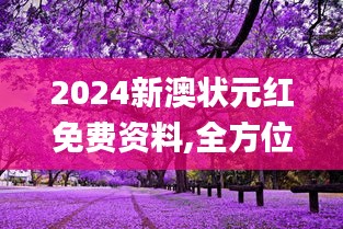 2024新澳状元红免费资料,全方位展开数据规划_探险版WNN13.14