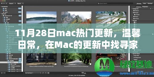 Mac更新中的温馨日常，家的温暖与友情的深度探索