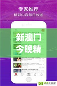 新澳门今晚精准一码,实地验证实施_传承版NTE13.77