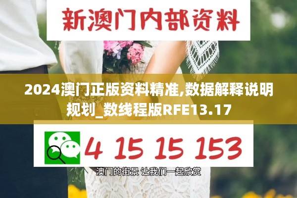 2024澳门正版资料精准,数据解释说明规划_数线程版RFE13.17