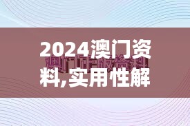 2024澳门资料,实用性解读策略_品味版LUB13.3