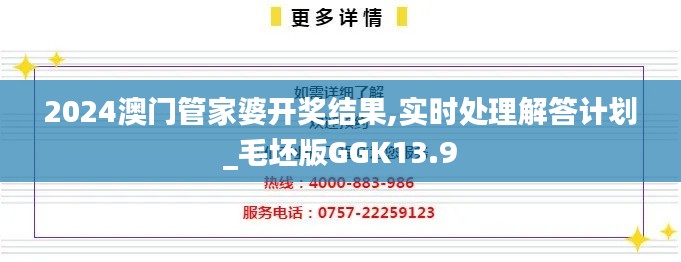 2024澳门管家婆开奖结果,实时处理解答计划_毛坯版GGK13.9