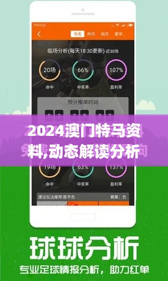 2024澳门特马资料,动态解读分析_薪火相传版XUY13.62