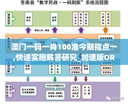 澳门一码一肖100准今期指点一,快速实施解答研究_加速版ORK13.20
