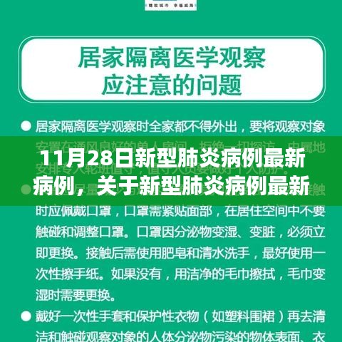 11月28日新型肺炎病例最新进展及要点分析