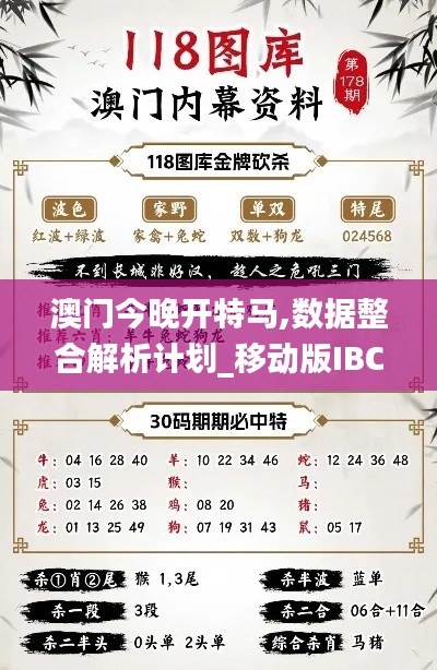 澳门今晚开特马,数据整合解析计划_移动版IBC13.54