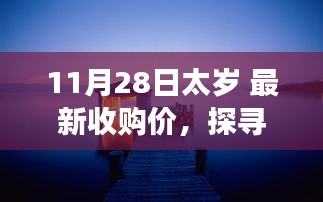 探寻太岁秘境，最新收购价揭晓，与自然共舞的奇妙旅程开启