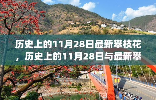 攀枝花发展历程，历史上的11月28日与最新发展概览的详尽指南