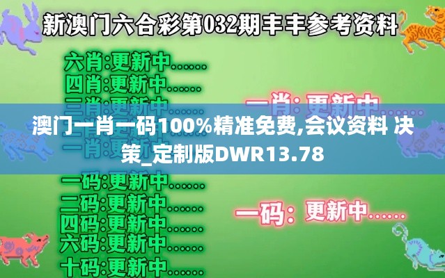 澳门一肖一码100%精准免费,会议资料 决策_定制版DWR13.78