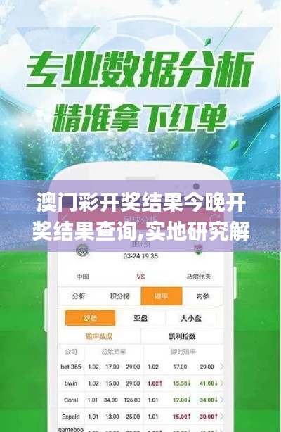 澳门彩开奖结果今晚开奖结果查询,实地研究解答协助_装饰版DFS13.31
