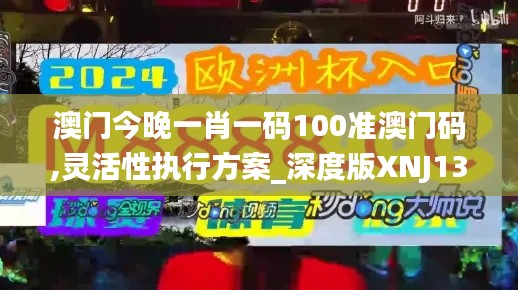 澳门今晚一肖一码100准澳门码,灵活性执行方案_深度版XNJ13.71