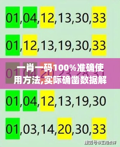 一肖一码100%准确使用方法,实际确凿数据解析统计_硬核版XMU13.46