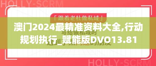 澳门2024最精准资料大全,行动规划执行_赋能版DVO13.81