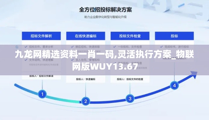 九龙网精选资料一肖一码,灵活执行方案_物联网版WUY13.67