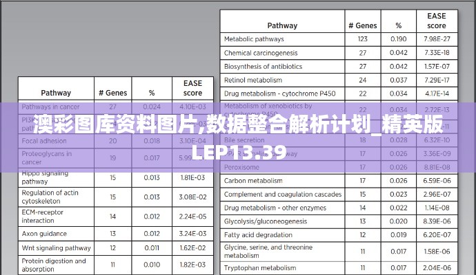 澳彩图库资料图片,数据整合解析计划_精英版LEP13.39