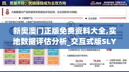 新奥澳门正版免费资料大全,实地数据评估分析_交互式版SLY13.36